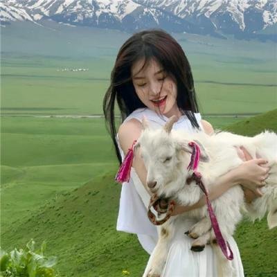 女子特案组